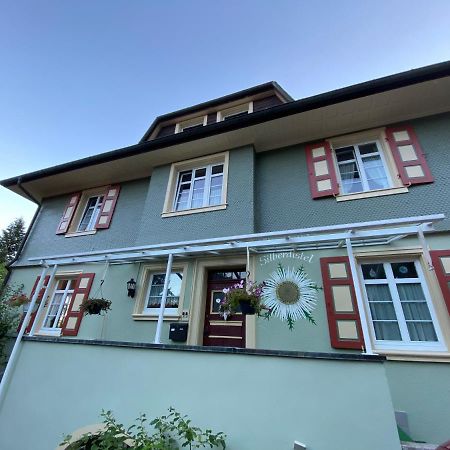 Haus Silberdistel Apartment Todtmoos Exterior photo
