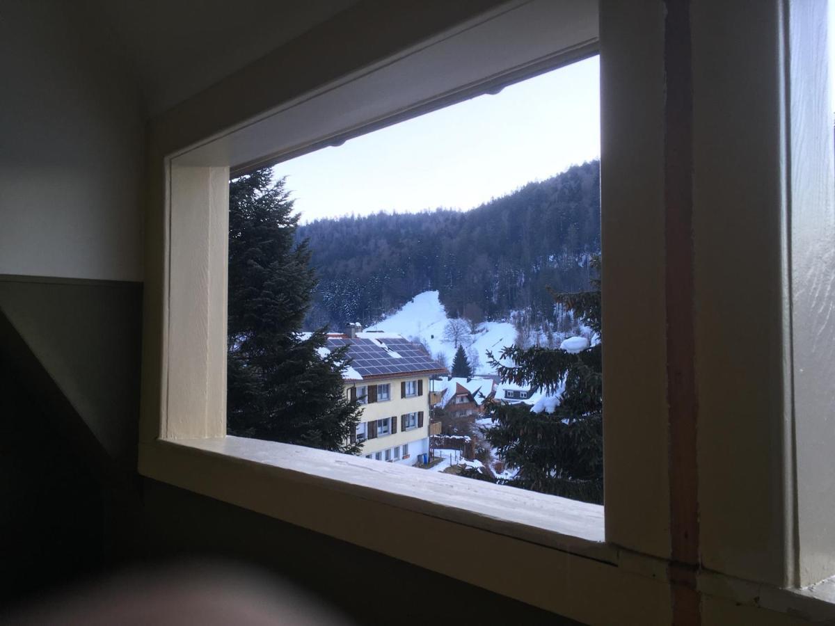 Haus Silberdistel Apartment Todtmoos Exterior photo