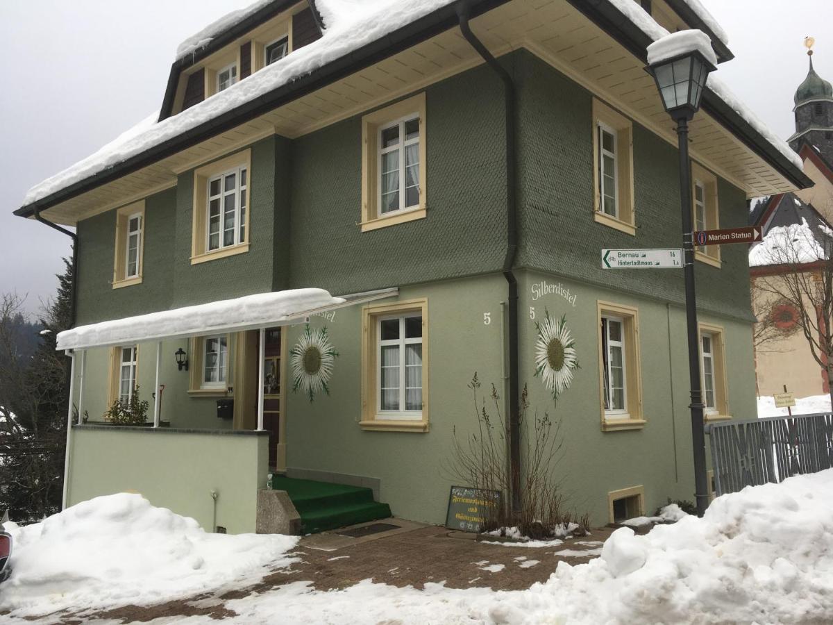 Haus Silberdistel Apartment Todtmoos Exterior photo