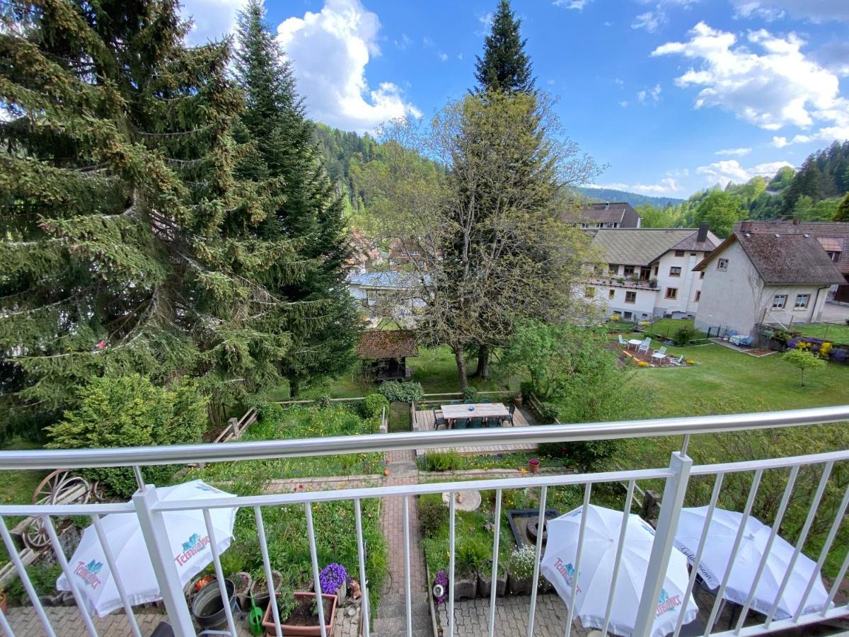 Haus Silberdistel Apartment Todtmoos Exterior photo