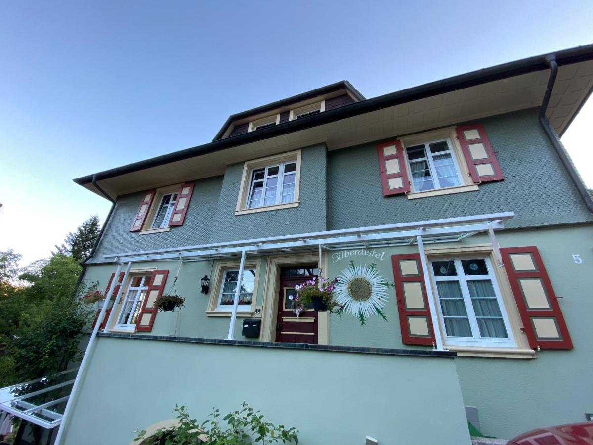 Haus Silberdistel Apartment Todtmoos Exterior photo